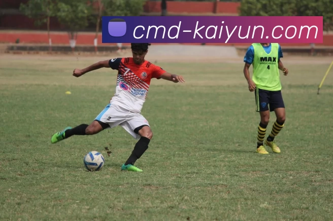 开云平台生态图